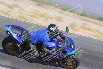 media/Nov-11-2023-SoCal Trackdays (Sat) [[efd63766ff]]/Turn 12 Inside (940am)/